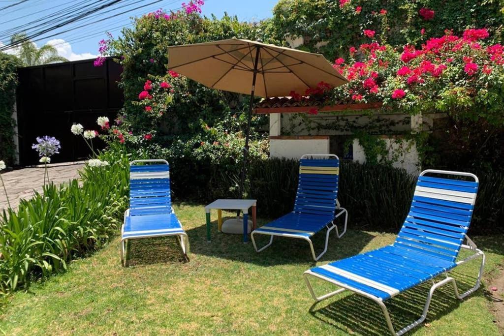 바예데브라보 Casa Bambu Vdb 빌라 외부 사진